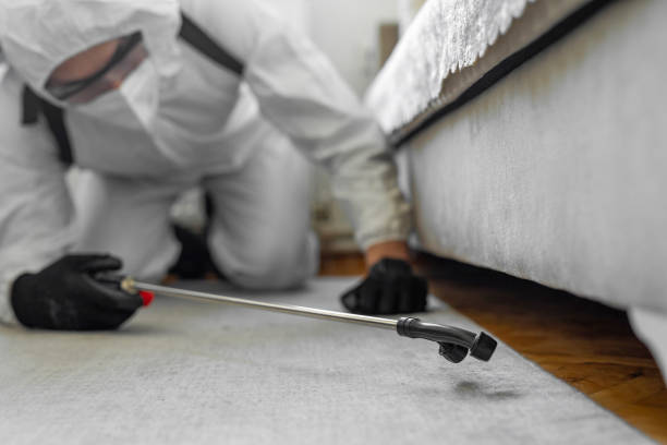 Professional Cockroach Control technician working in Sarasota County County, FL